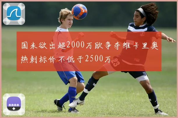 国米欲出超2000万欧争夺维卡里奥热刺标价不低于2500万