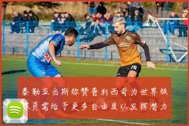 泰勒亚当斯称赞普利西奇为世界级球员需给予更多自由度以发挥潜力