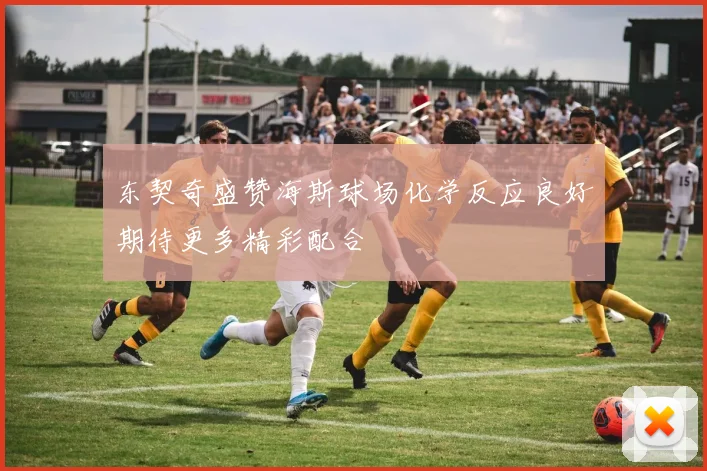 东契奇盛赞海斯球场化学反应良好期待更多精彩配合